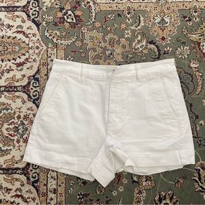 Everlane Shorts - Cotton Twill Shorts